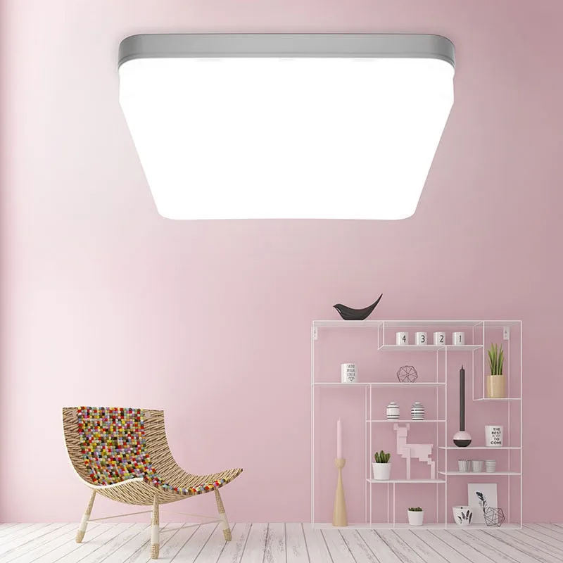 Ceiling Square Light