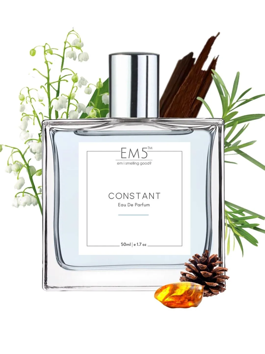 EM5™ Constant Perfume EDP Spray for Men | Spicy Musky Woody Fragrance Accords | Luxury Gift for Him | Variants Available: 50 ml Spray / 15 ml Spray