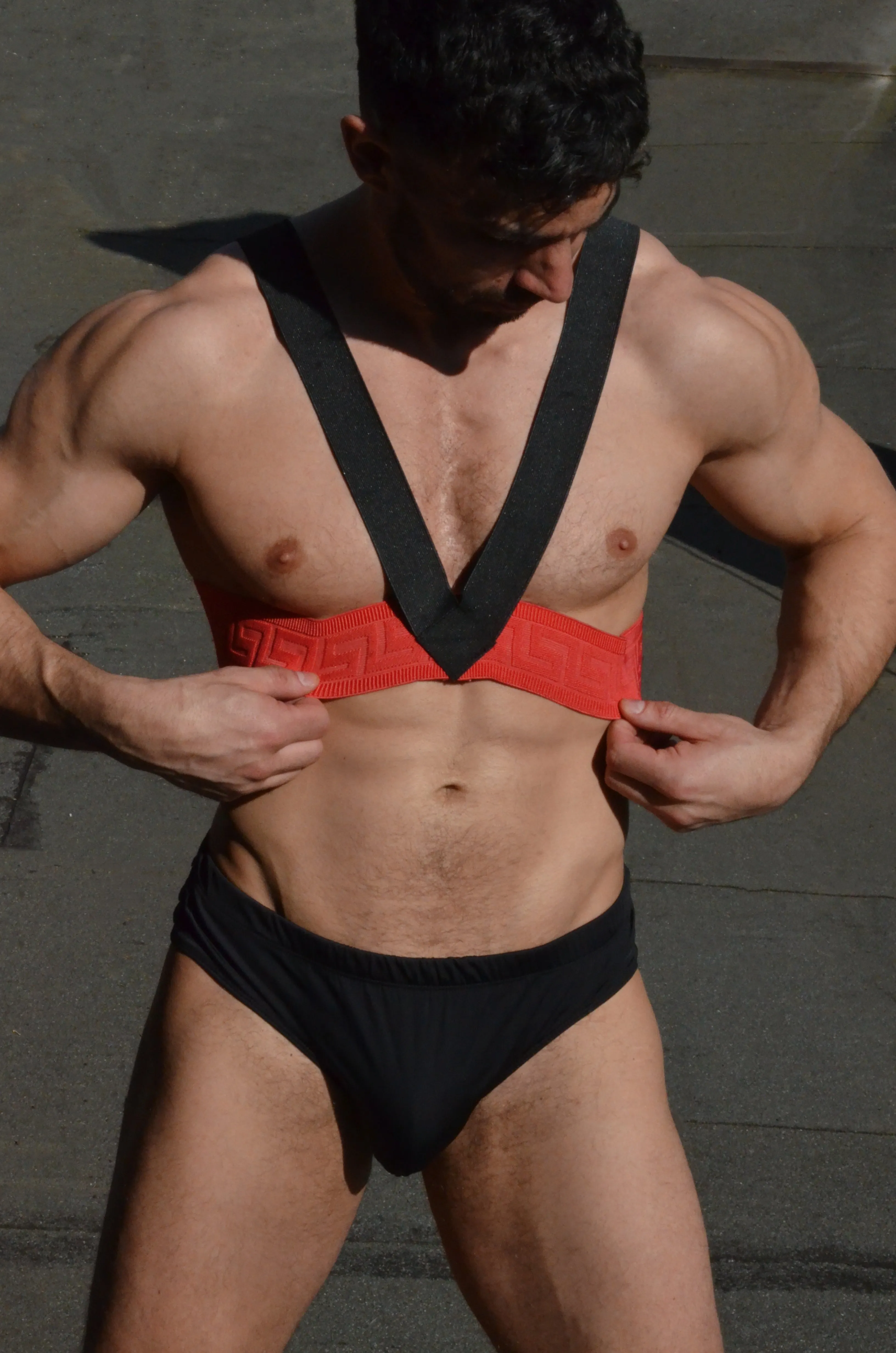 Harness, Classic V-Shape Chest Piece - Woven Finish Elastics