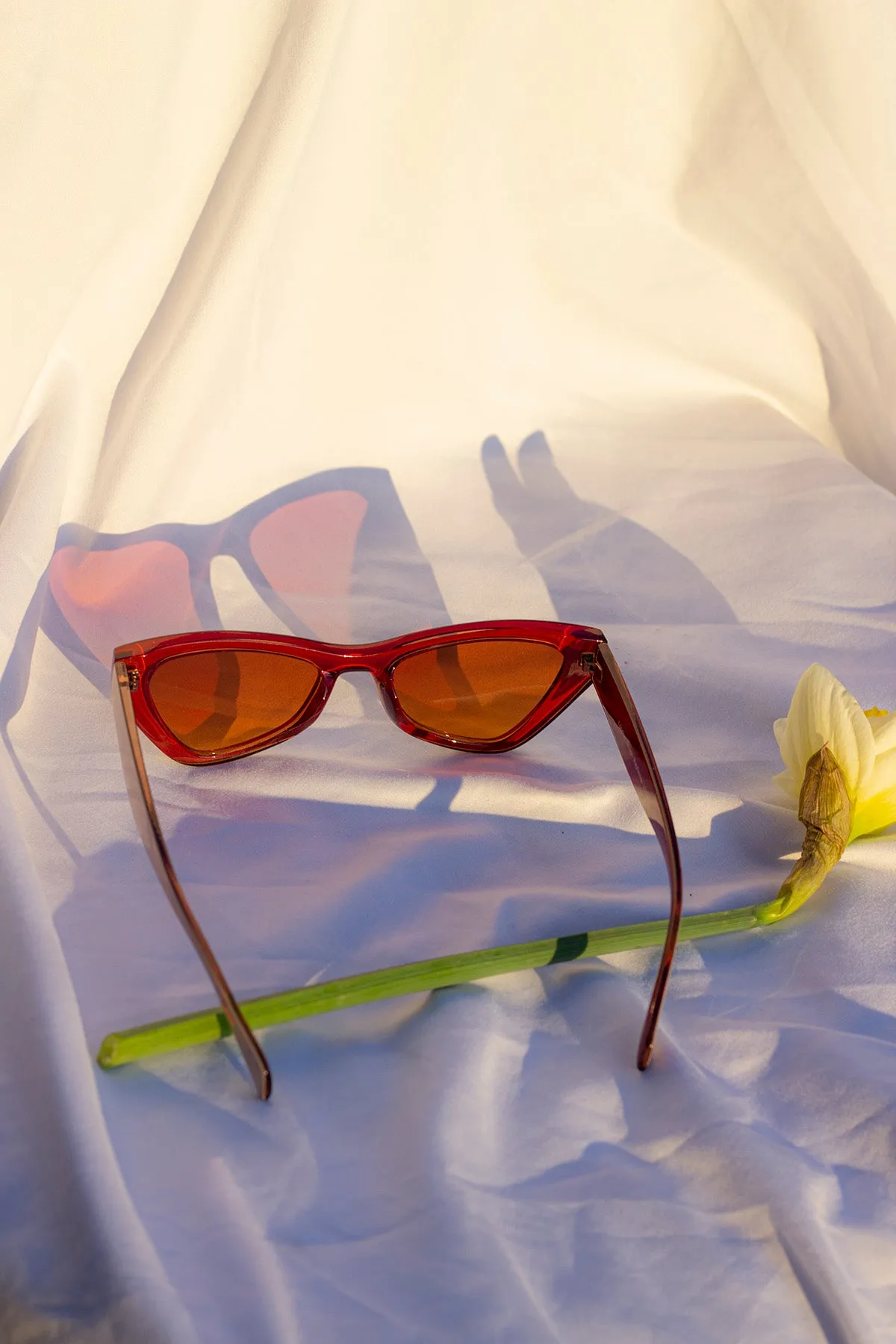 Triangular Cut Block Sunglasses