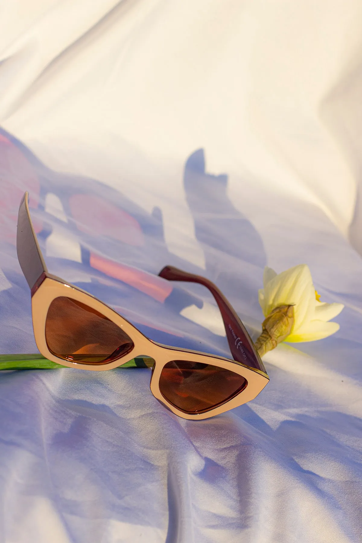 Triangular Cut Block Sunglasses