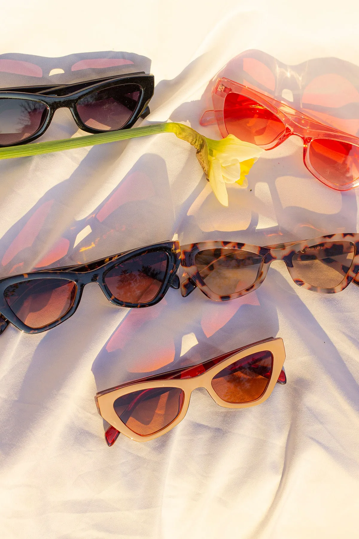 Triangular Cut Block Sunglasses